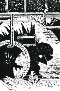 Teenage Mutant Ninja Turtles: Nightwatcher #02 cover